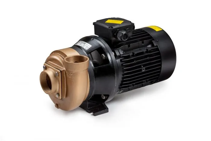 Pahlén P85FLO Poolpumpe – Robuste Schwimmbadpumpe aus Bronze mit 5,5 kW Motorleistung für Spas, Solarheizungen & Wasserfälle