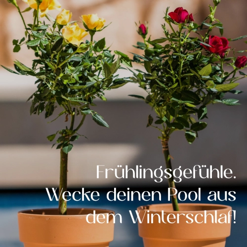 Pool fit für die Saison