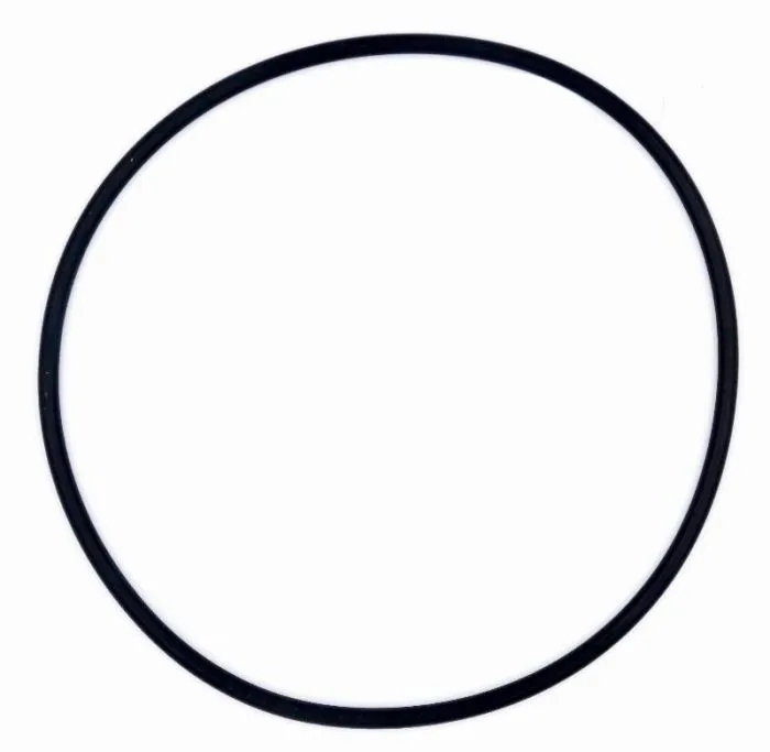 O-Ring Ø 140 mm für das Vorfiltergehäuse der OKU SPS Poolpumpe zur Abdichtung zwischen Vorfilter und Pumpenmotor