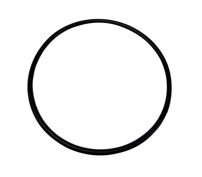 O-Ring für den Klarsichteinsatz der Speck BADU Top II Poolpumpe