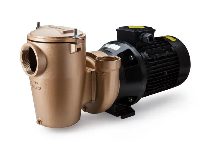Pahlén P85 T550 Poolpumpe – Leistungsstarke und langlebige Bronze-Schwimmbadpumpe mit 5,5 kW Motor & Vorfilter
