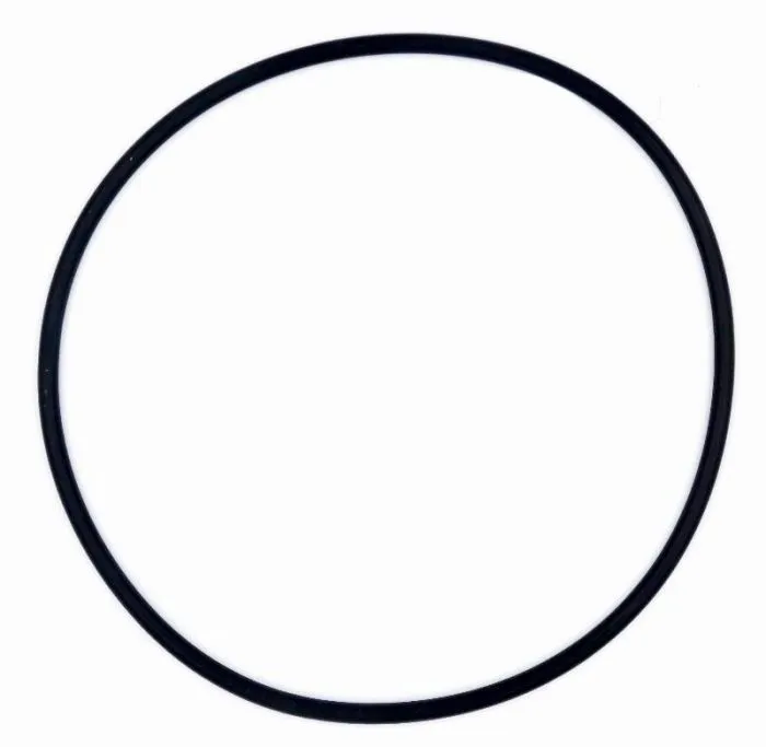 O-Ring 165 x 6 mm für Aqua Plus / Aqua Plus Timer / Aqua Vario Plus Poolpumpen zum Abdichten des Gehäusedeckels